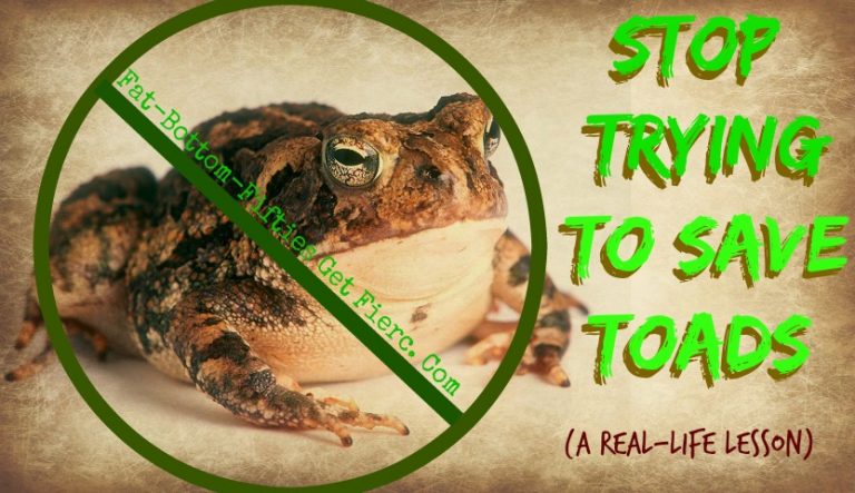 Stop Trying to Save Toads